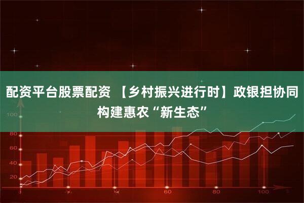 配资平台股票配资 【乡村振兴进行时】政银担协同构建惠农“新生态”