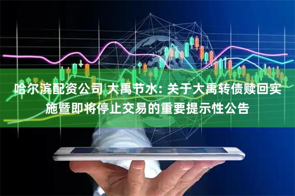 哈尔滨配资公司 大禹节水: 关于大禹转债赎回实施暨即将停止交易的重要提示性公告
