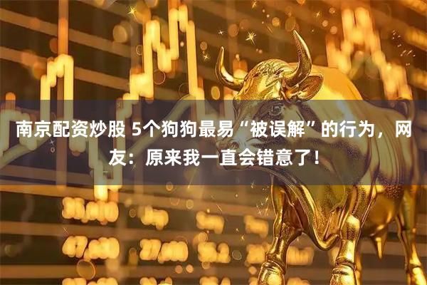 南京配资炒股 5个狗狗最易“被误解”的行为,网友:原来我一直会错意了!
