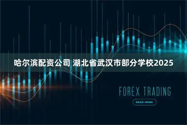 哈尔滨配资公司 湖北省武汉市部分学校2025